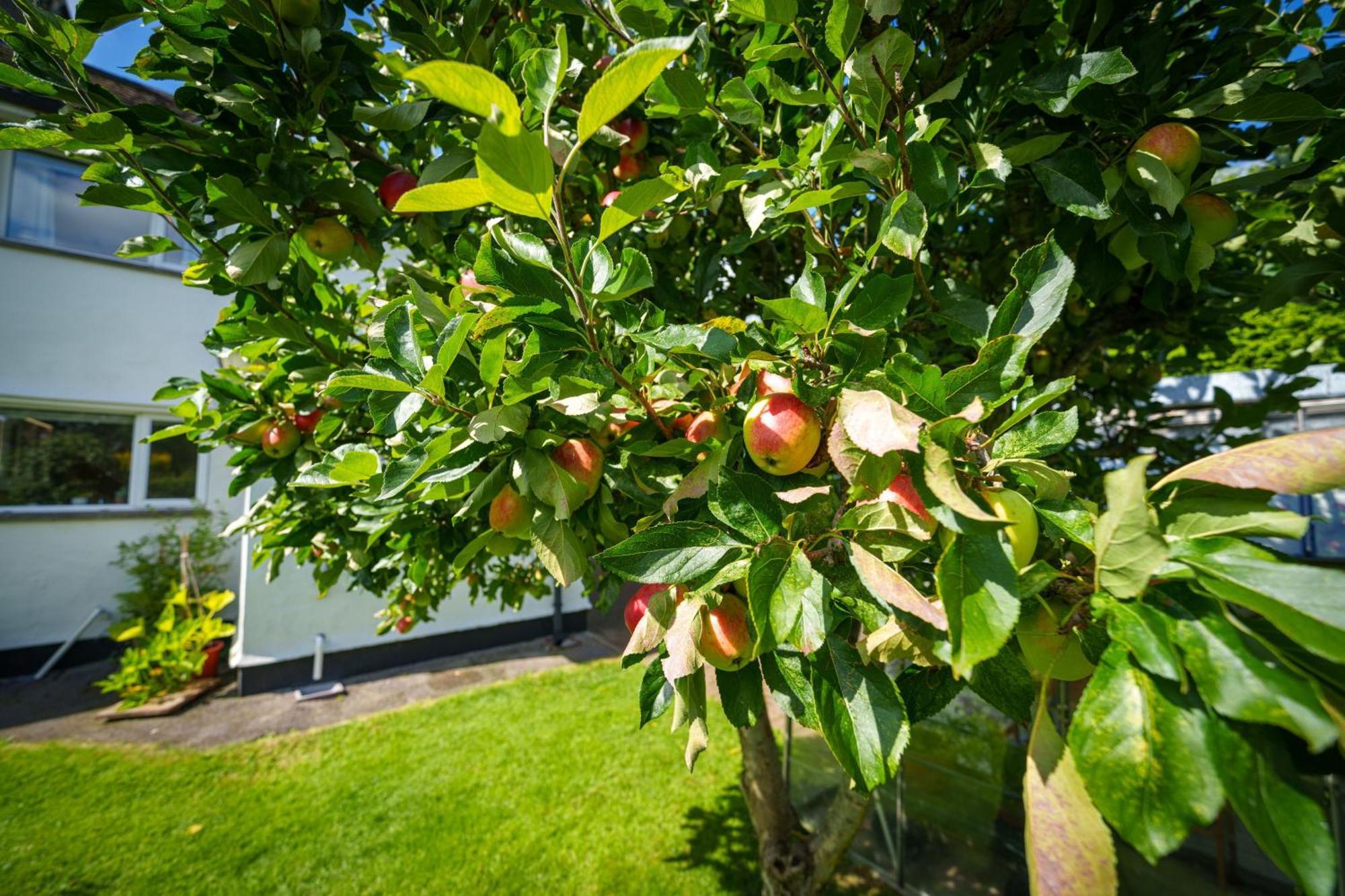 Apple Byrd - Short Stroll Into Kendal Town Centre Βίλα Εξωτερικό φωτογραφία
